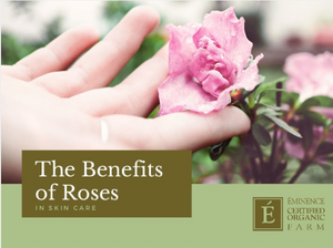 The Benefits Of Roses In Skin Care